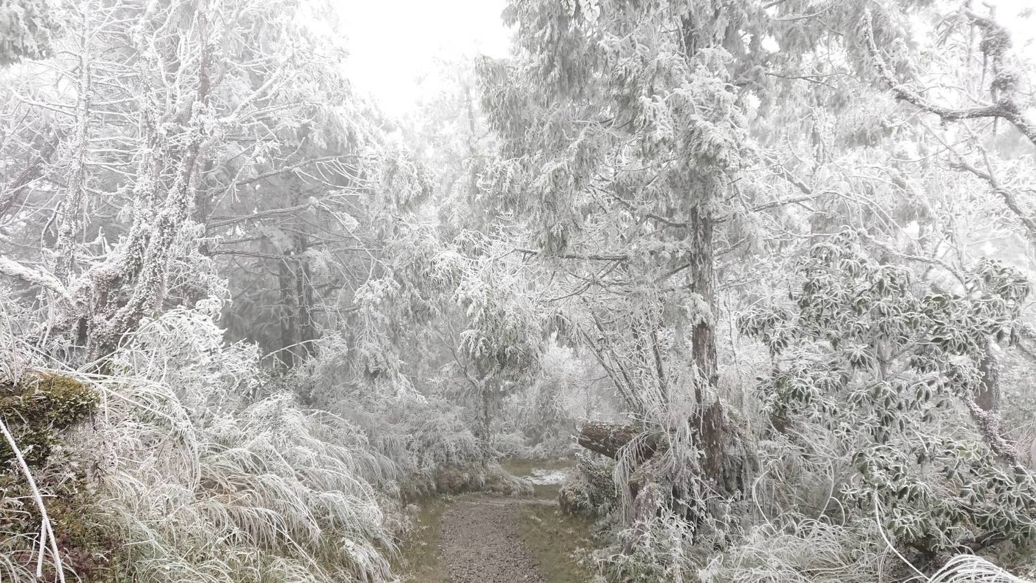 太平山國家森林遊樂區翠峰湖區的殘雪景緻。   圖：翻攝自太平山國家森林遊樂區臉書