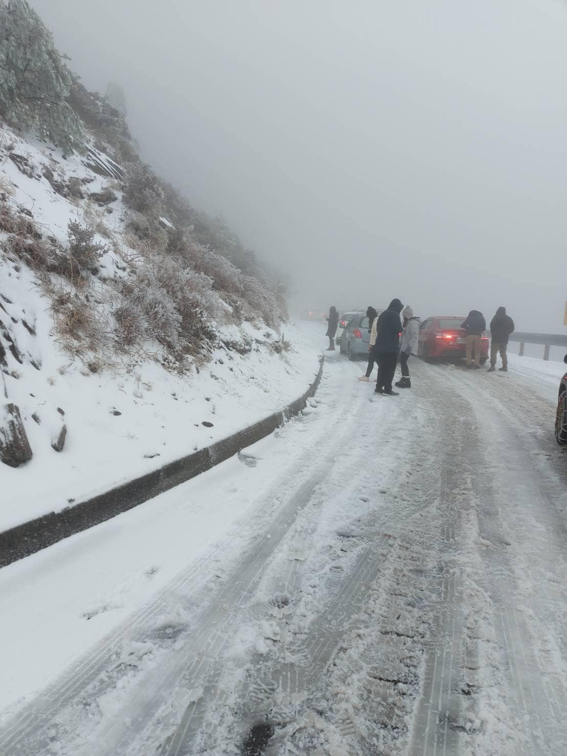 寒流發威！合歡山翠峰至大禹嶺路段 今晚5點預警性封閉