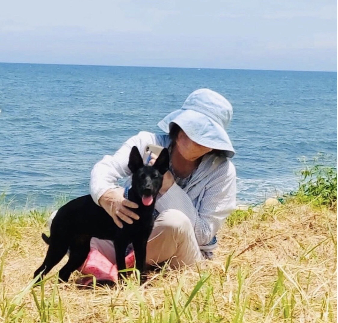 貴婦志工跨洋捲袖為浪浪溫馨送愛   淡水動物之家更美的風景是人