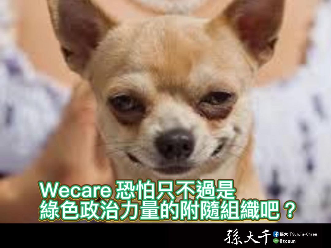Wecare力挺反罷捷 孫大千批：只是綠色政治力量附隨組織