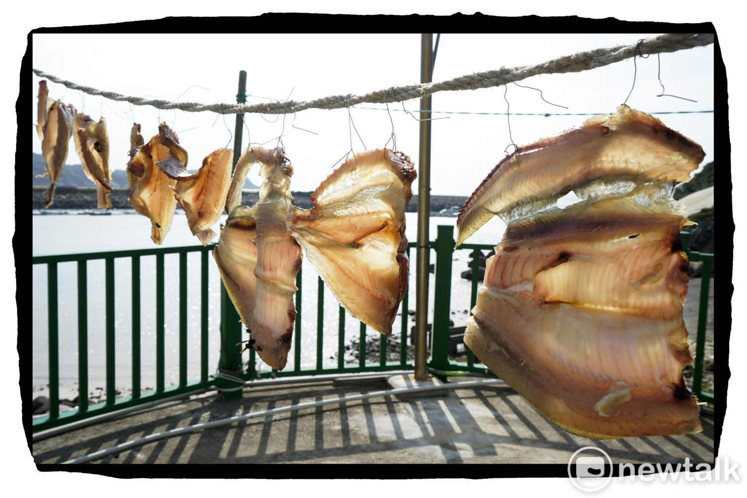 馬祖冬季的魚種、漁獲量比夏季多出許多，在馬祖北竿的一戶人家將白力魚的頭尾砍掉、魚骨剔除，再將魚身抹上鹽巴日曬。   圖：張良一/攝