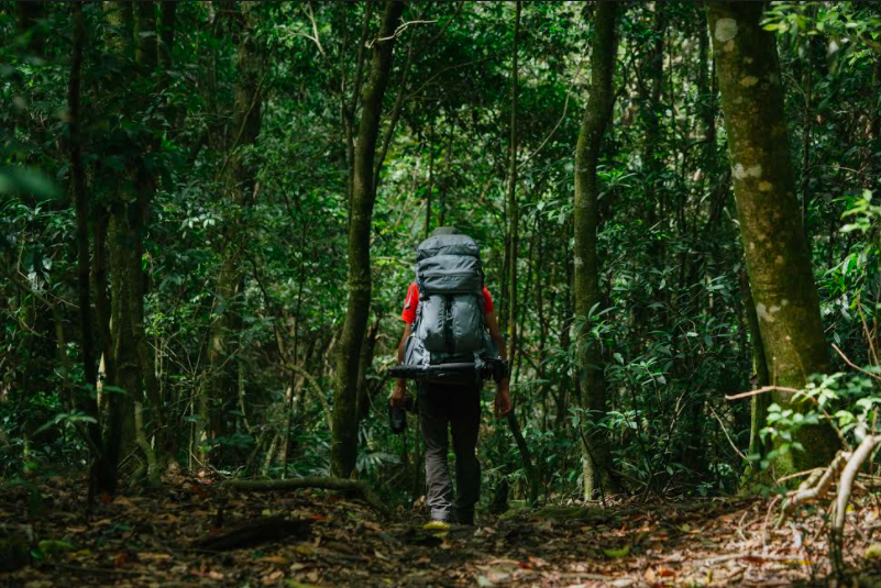 女子登山失蹤只見登山杖  掉落處下方尋獲遺體