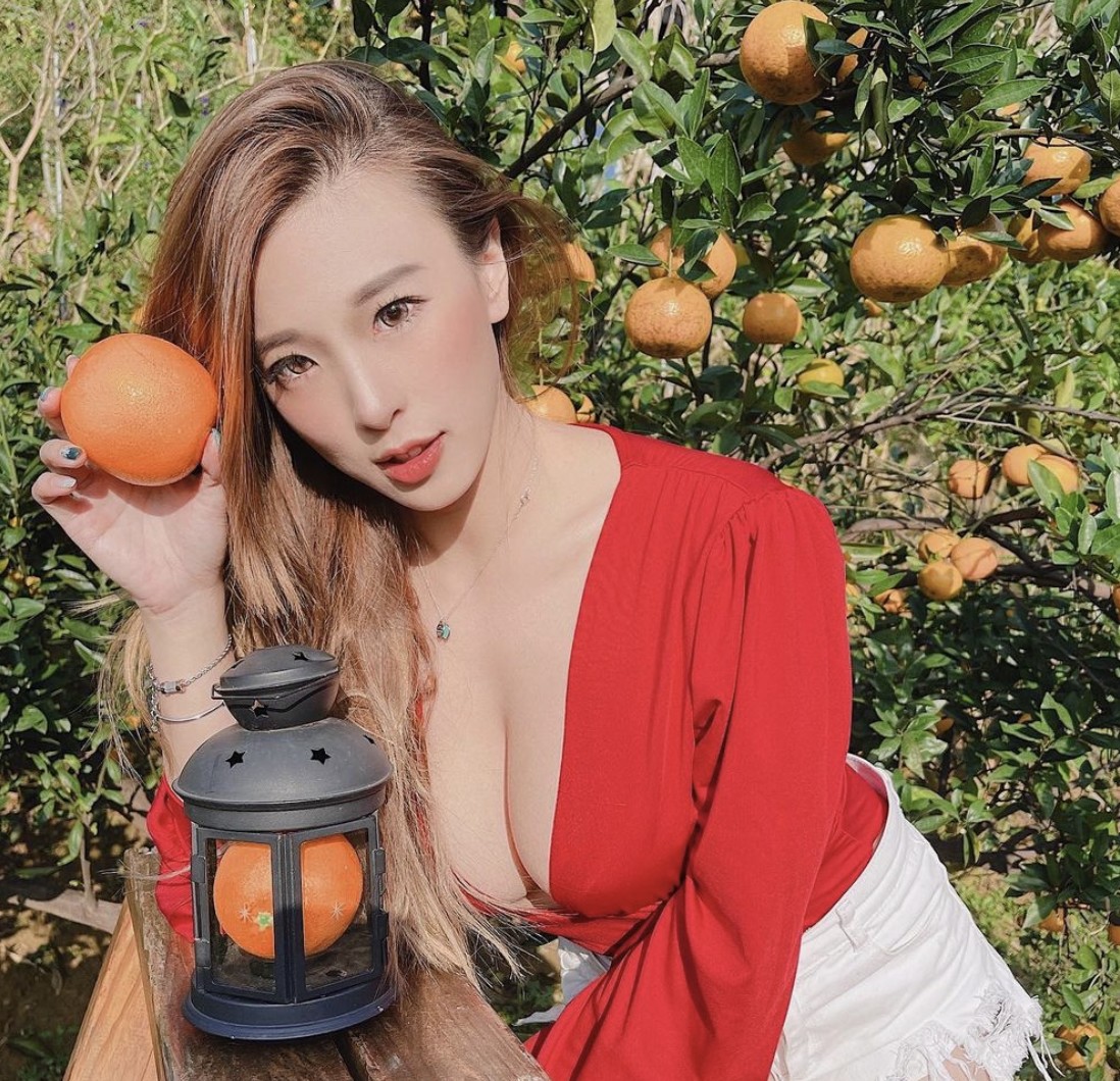 紀卜心讓果園成超夯景點！網美跟風採橘子