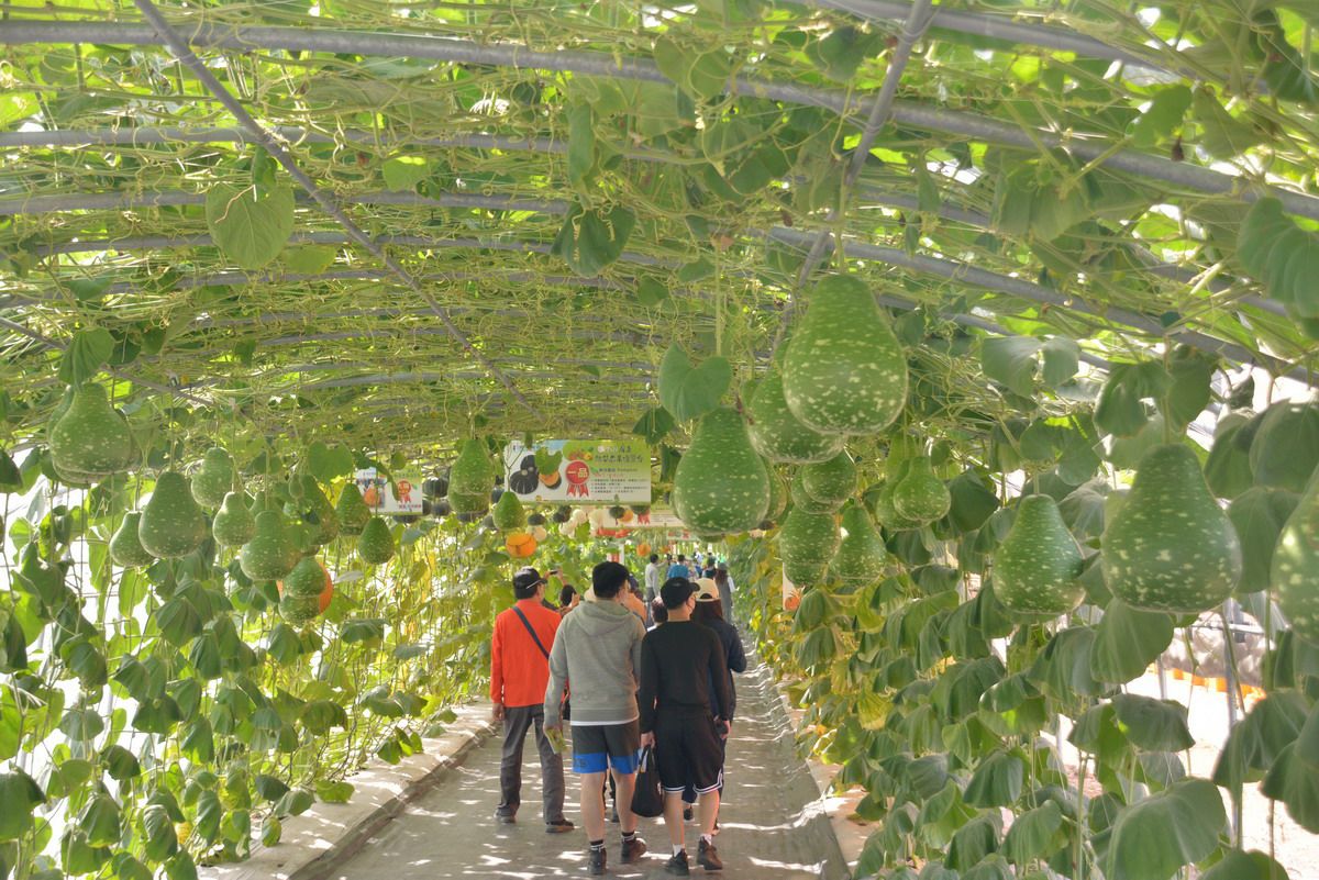 屏東熱博24種主題園區吸睛！採實名制入場  一次上限6.5萬人