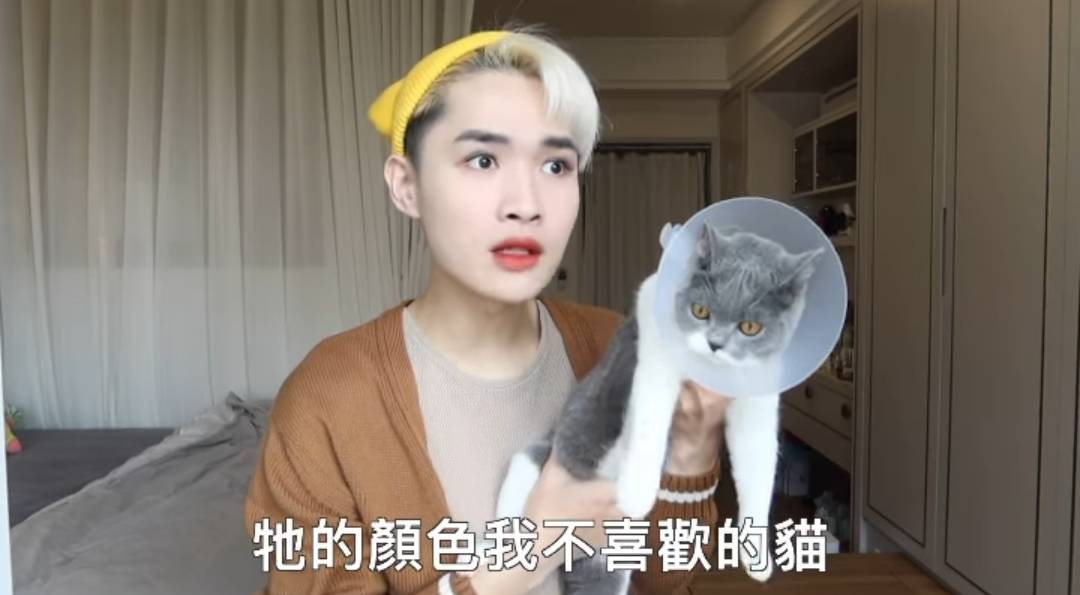 酸民連貓都不放過！鍾明軒嗆：這個留言非常沒有質感