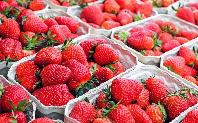 草莓應該怎麼挑？專家曝「3狀況」別買：老闆不給家人吃