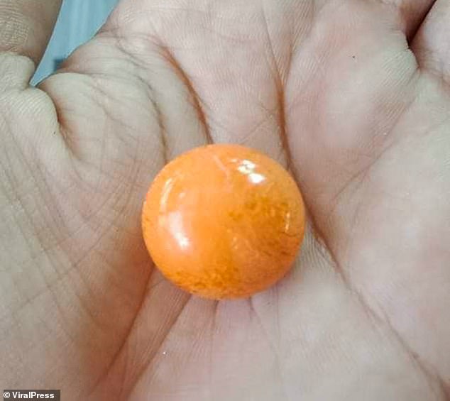 泰國司機吃海螺吃成暴發戶？ 竟然吃出......