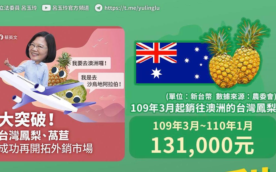 台灣鳳梨外銷國際大內宣？ 藍委：出口澳洲才13萬元 | 政治 | 新頭殼