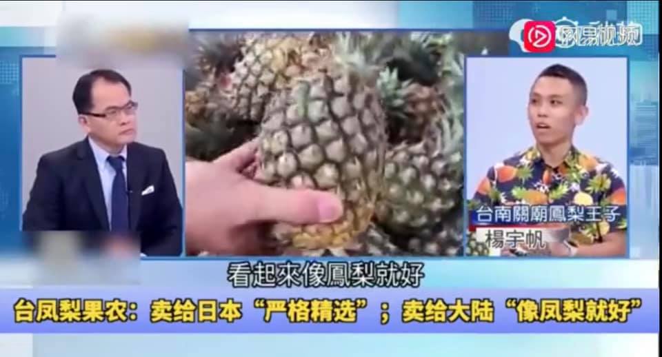 台灣鳳梨漸失競爭力？林佳新：中國市場需求  突顯台灣農業的荒謬