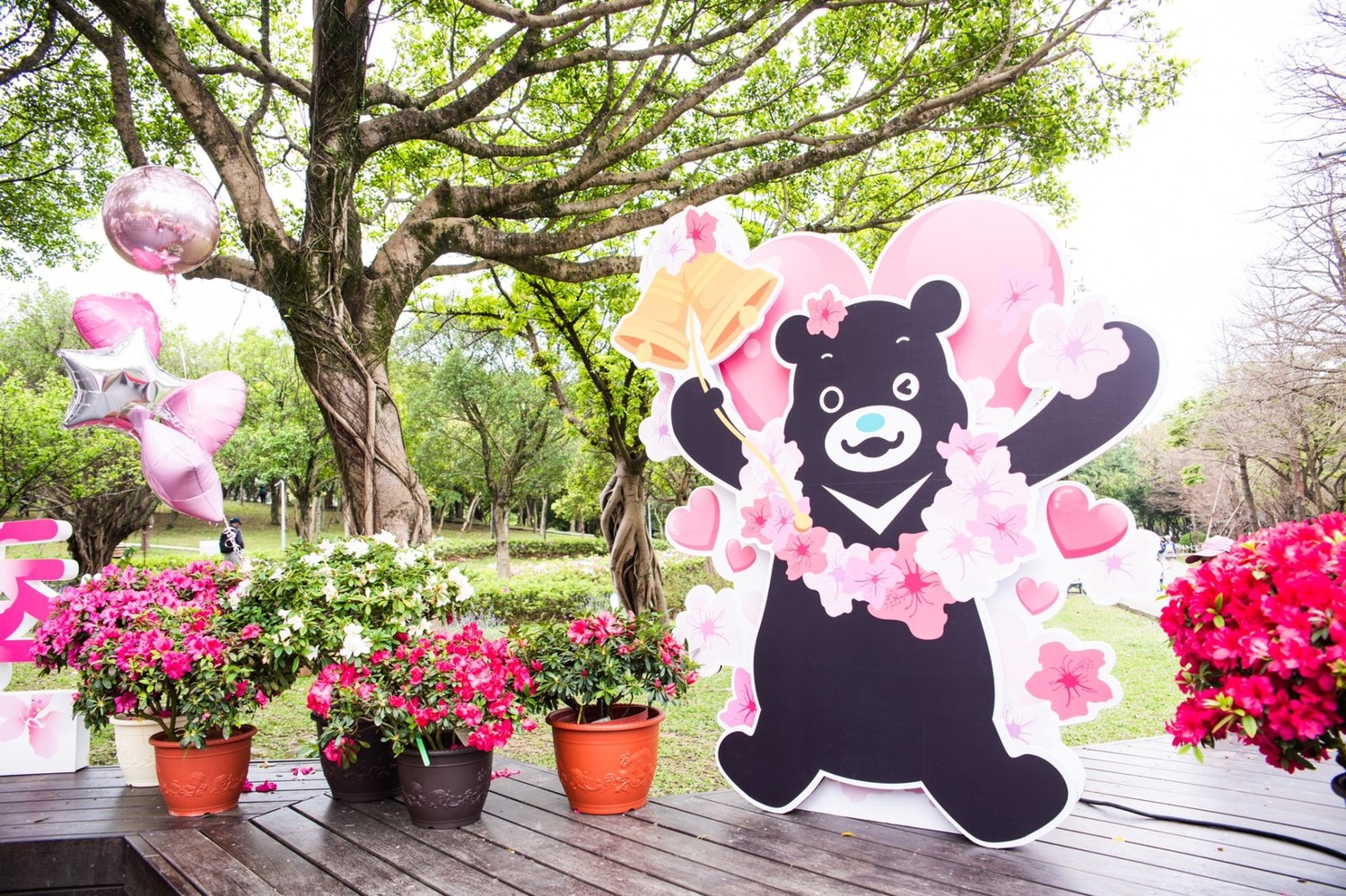 台北杜鵑花季3/14登場 賞花和熊讚拍照打卡抽大獎
