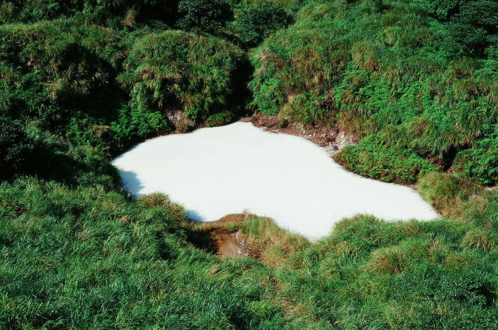 帛琉泡泡旅遊來了！準備出發夢幻景點「水母湖」、「牛奶湖」