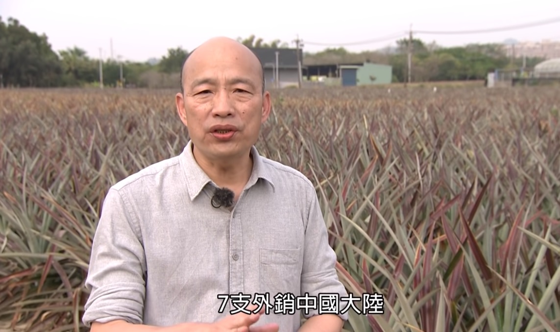 鳳梨農稱外銷中國佔7成 韓國瑜喊話政府：別讓農民成意識形態犧牲品