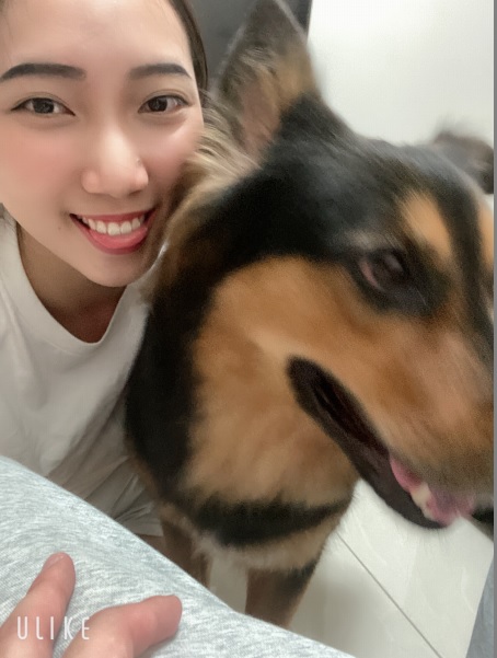 白色情人節 新北快閃認養毛寶貝歡迎熱情參與