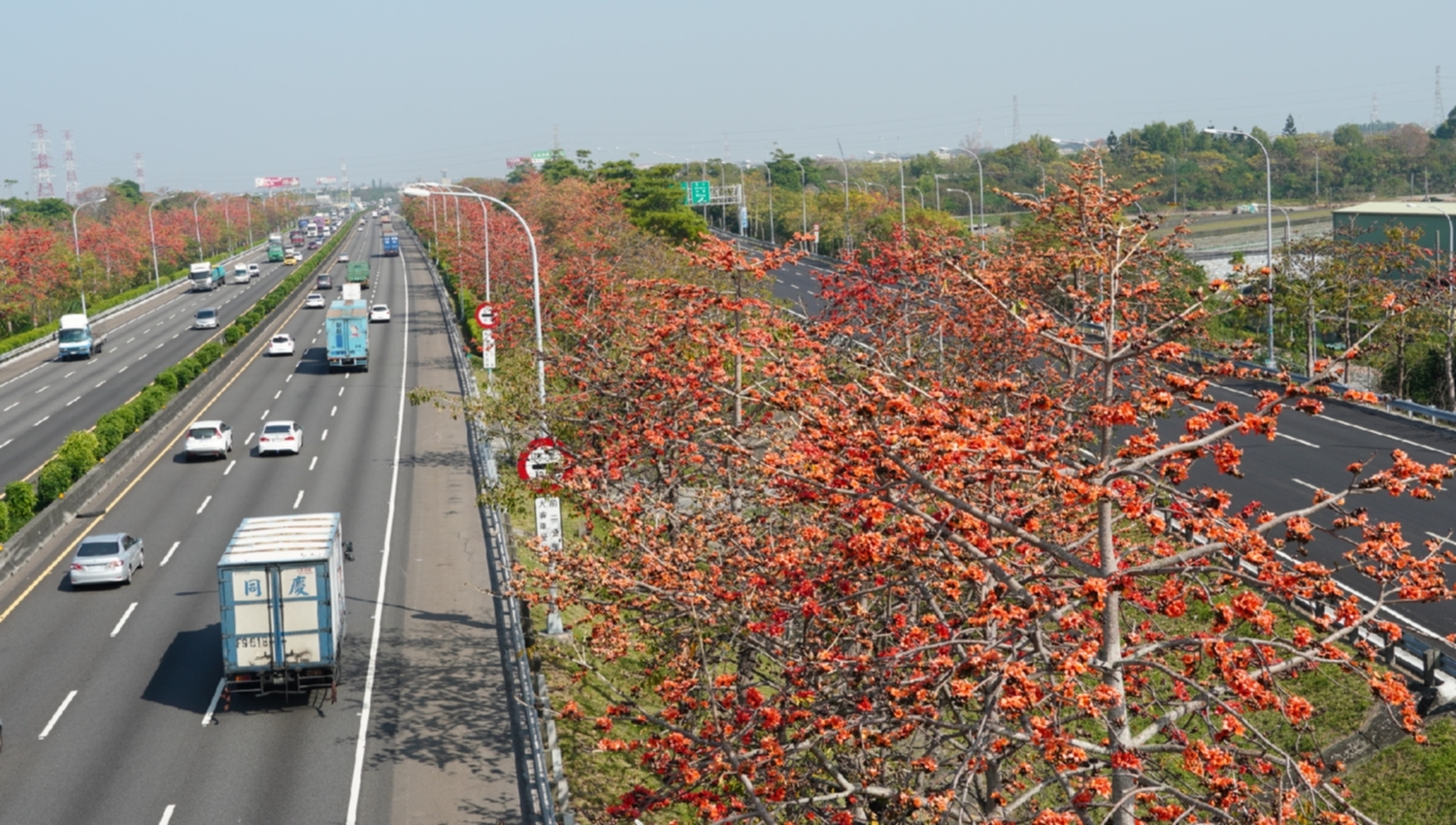 春日國道花季！杜鵑、苦楝、木棉花組成繽紛之旅