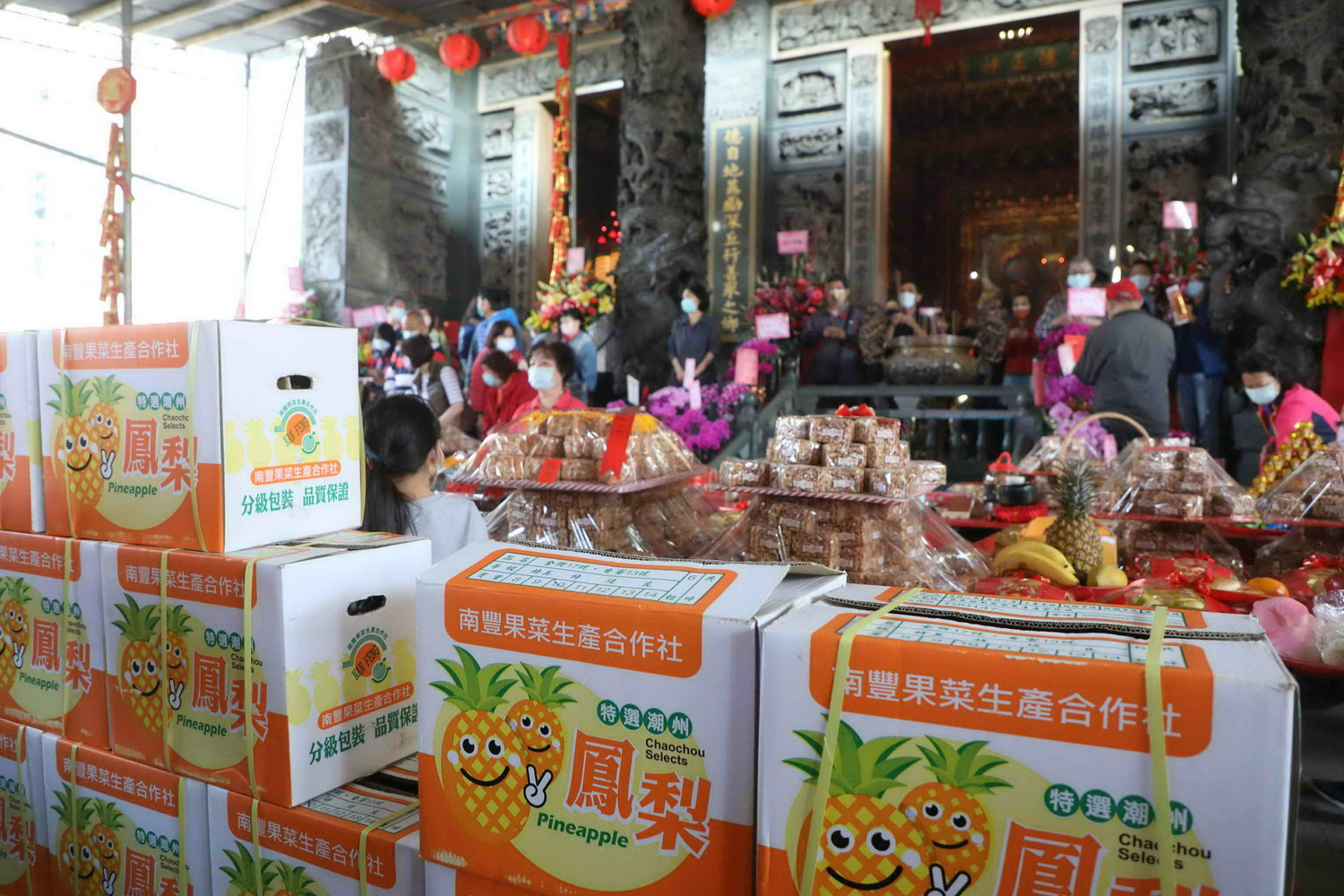 板橋深丘及埔墘福德宮各認購鳳梨、高麗菜500箱 偕新北市府助農獻愛心