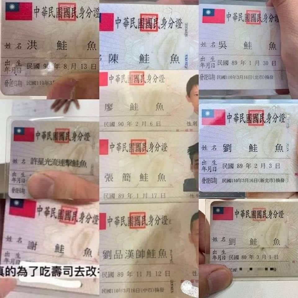 台灣人為免費壽司改名當「鮭魚」！日女星嚇到：日本不可能