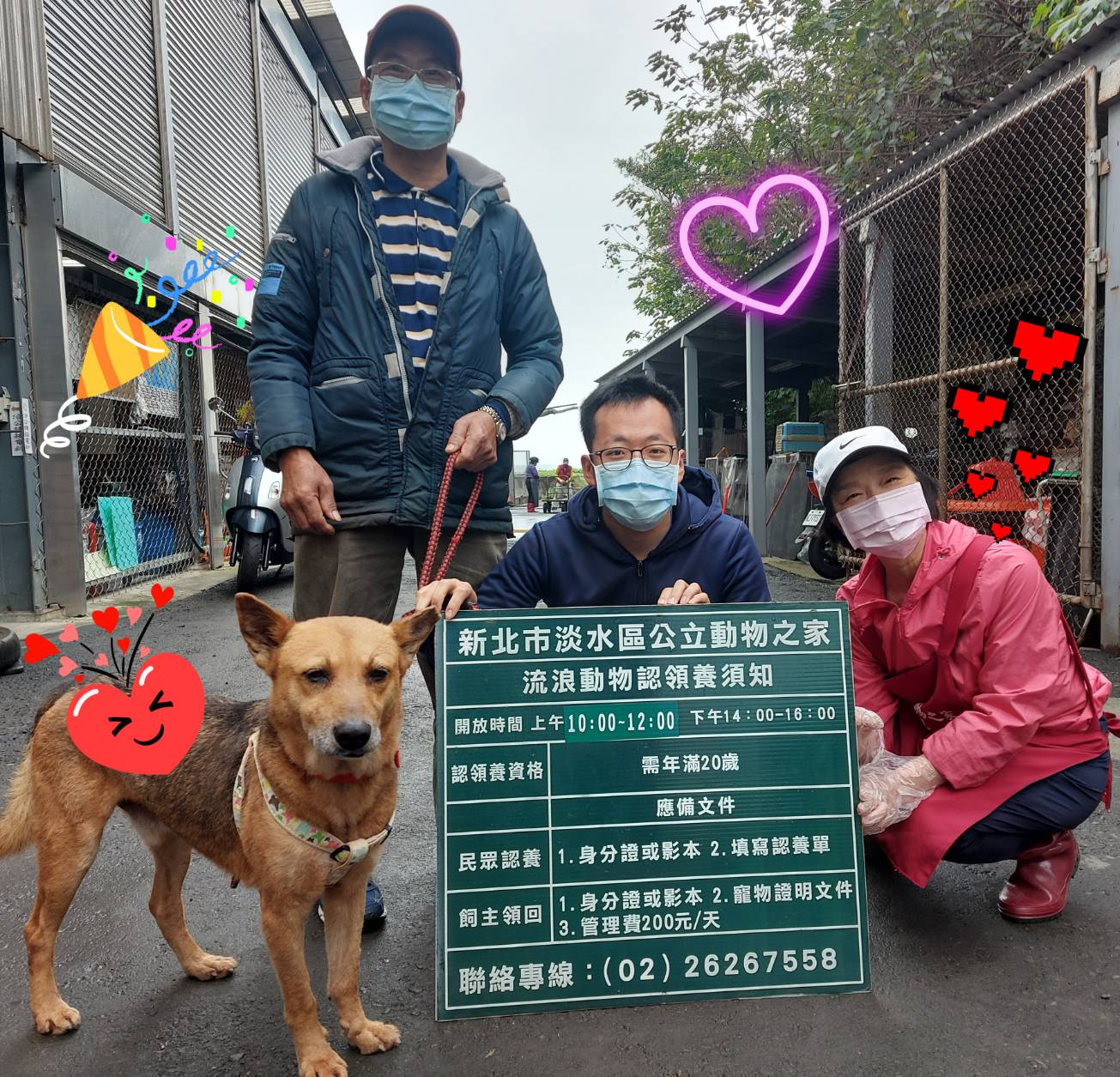 新北動物之家「333」認養策略成功 毛寶貝被閃亮認養