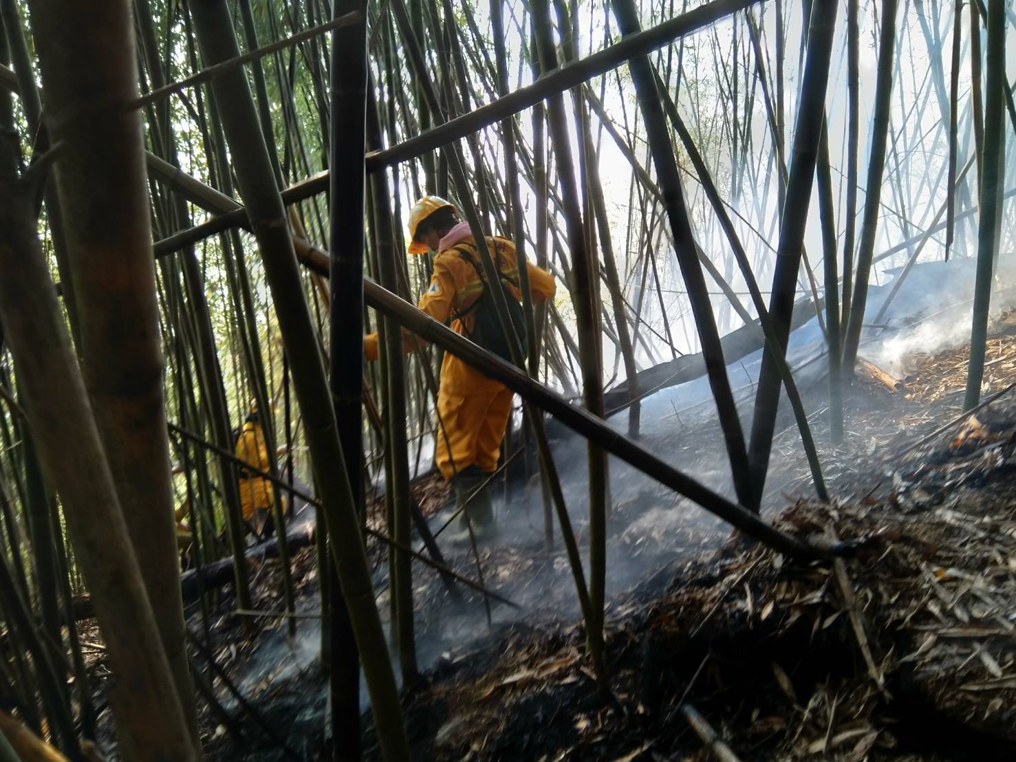 阿里山森林火災未熄 4天出動直升機35架次