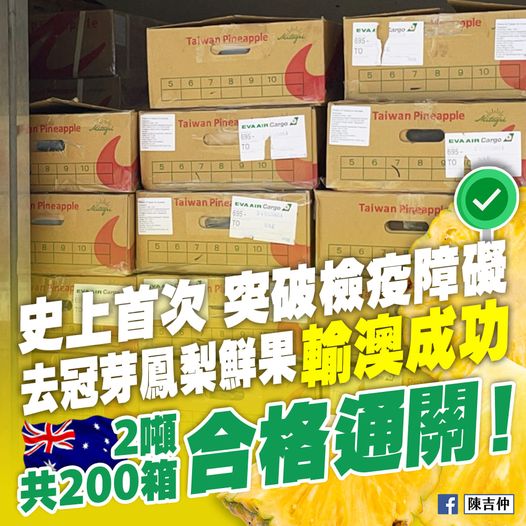 台灣鳳梨鮮果首次成功輸澳 陳吉仲臉書分享好消息