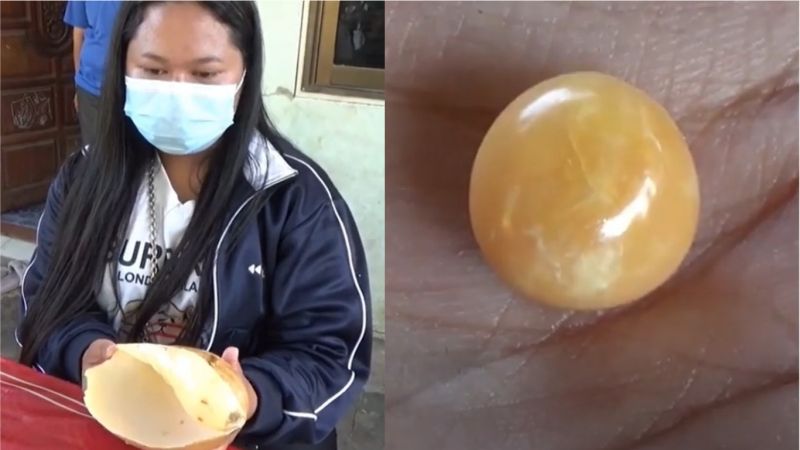 花69元買海螺！她咬出「百萬龍珠」