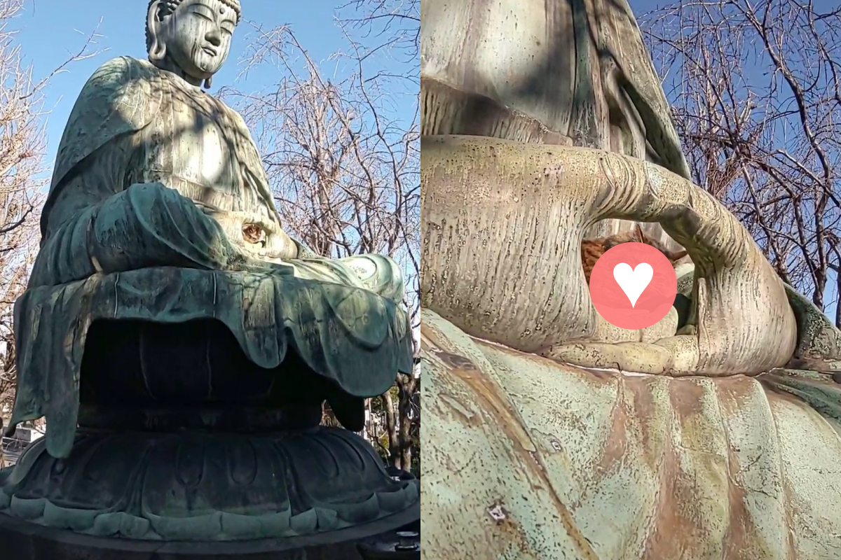(影)佛像掌中竟窩隻「老成臉貓咪」　網笑：被收服的小妖精？
