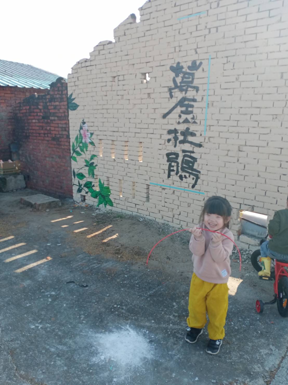 萬金杜鵑塗鴉牆。   圖：新北市農業局提供
