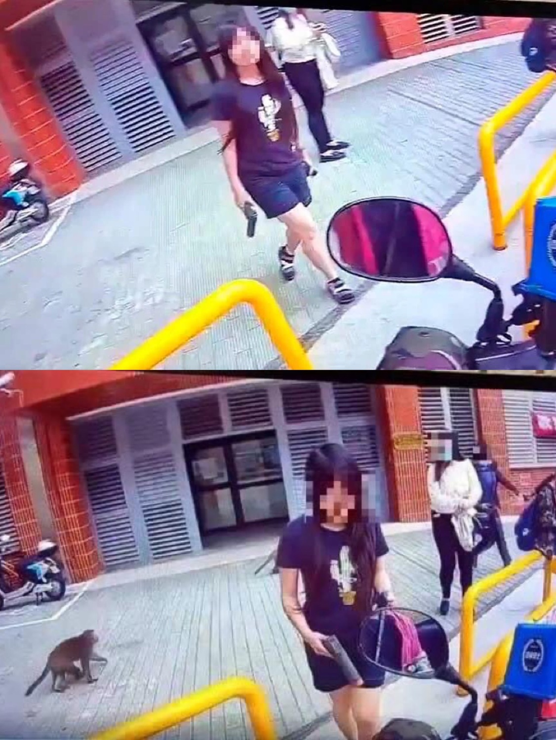 中山大學生和猴子鬥智 外送取餐竟配「槍」農業局 : 保護財產 未觸法