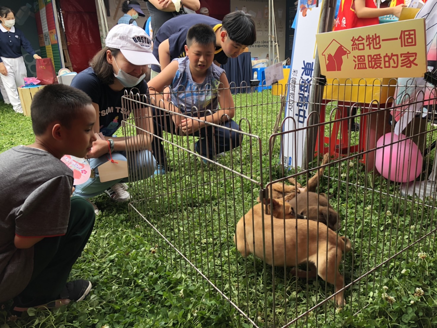 這不是愚人節！新北植晶片打狂犬病疫苗認養還摺氣球 全部免費