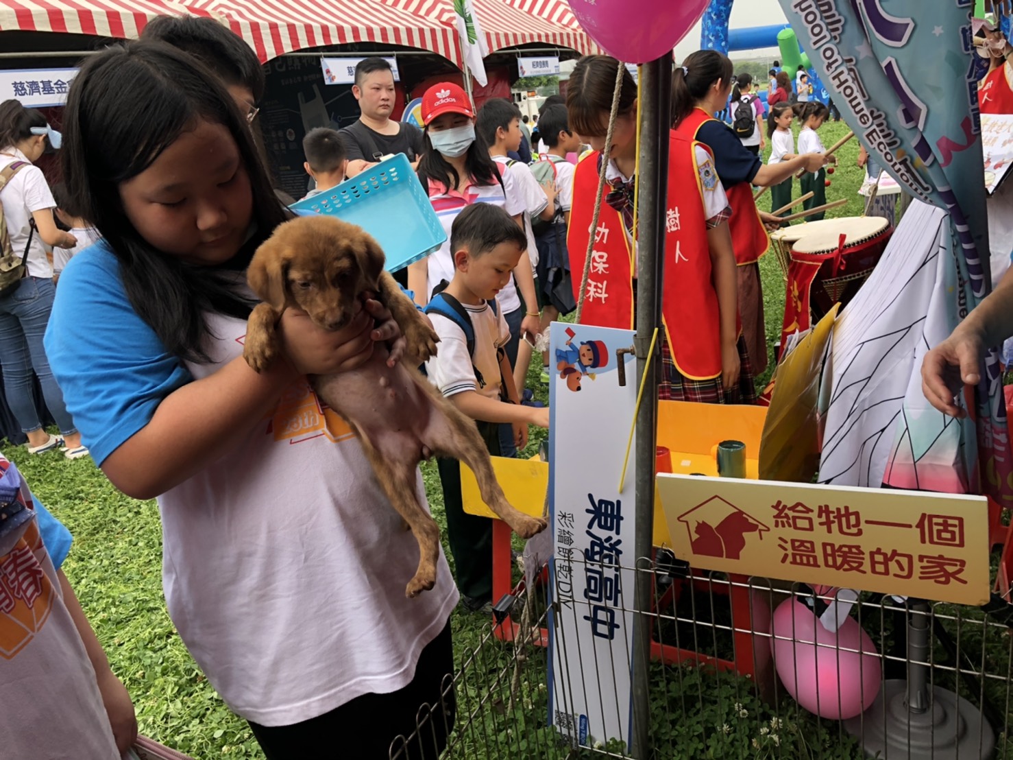 這不是愚人節！新北植晶片打狂犬病疫苗認養還摺氣球 全部免費