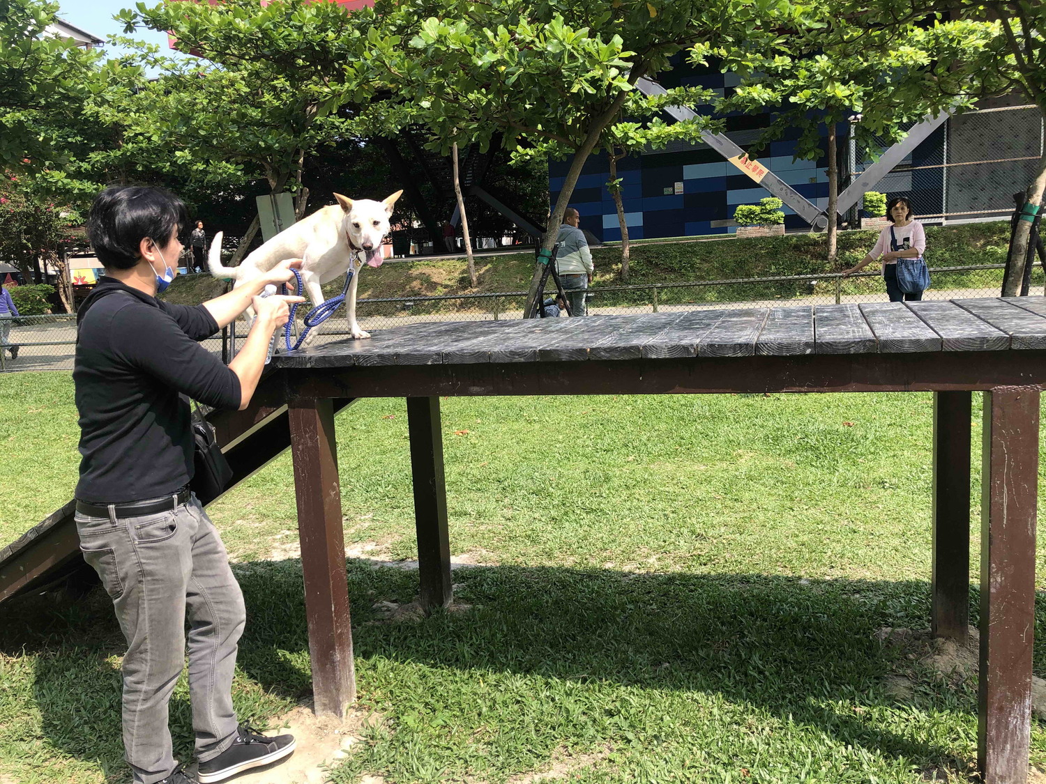 新北寵物數量冠全台  歡慶第19座寵物專屬空間啟用