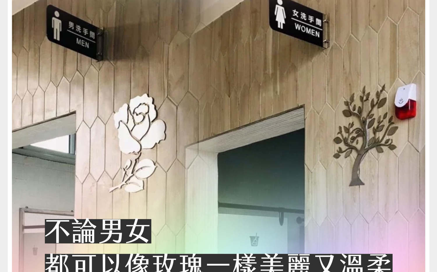 高樹國中男廁鑲上「玫瑰」圖樣  王婉諭: 性別平權永鋕不忘 | 政治 |