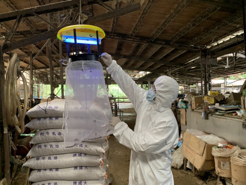 世界瘧疾日 新北動保處加強撲滅病媒蚊防動物傳染病