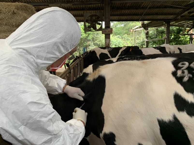 世界瘧疾日 新北動保處加強撲滅病媒蚊防動物傳染病