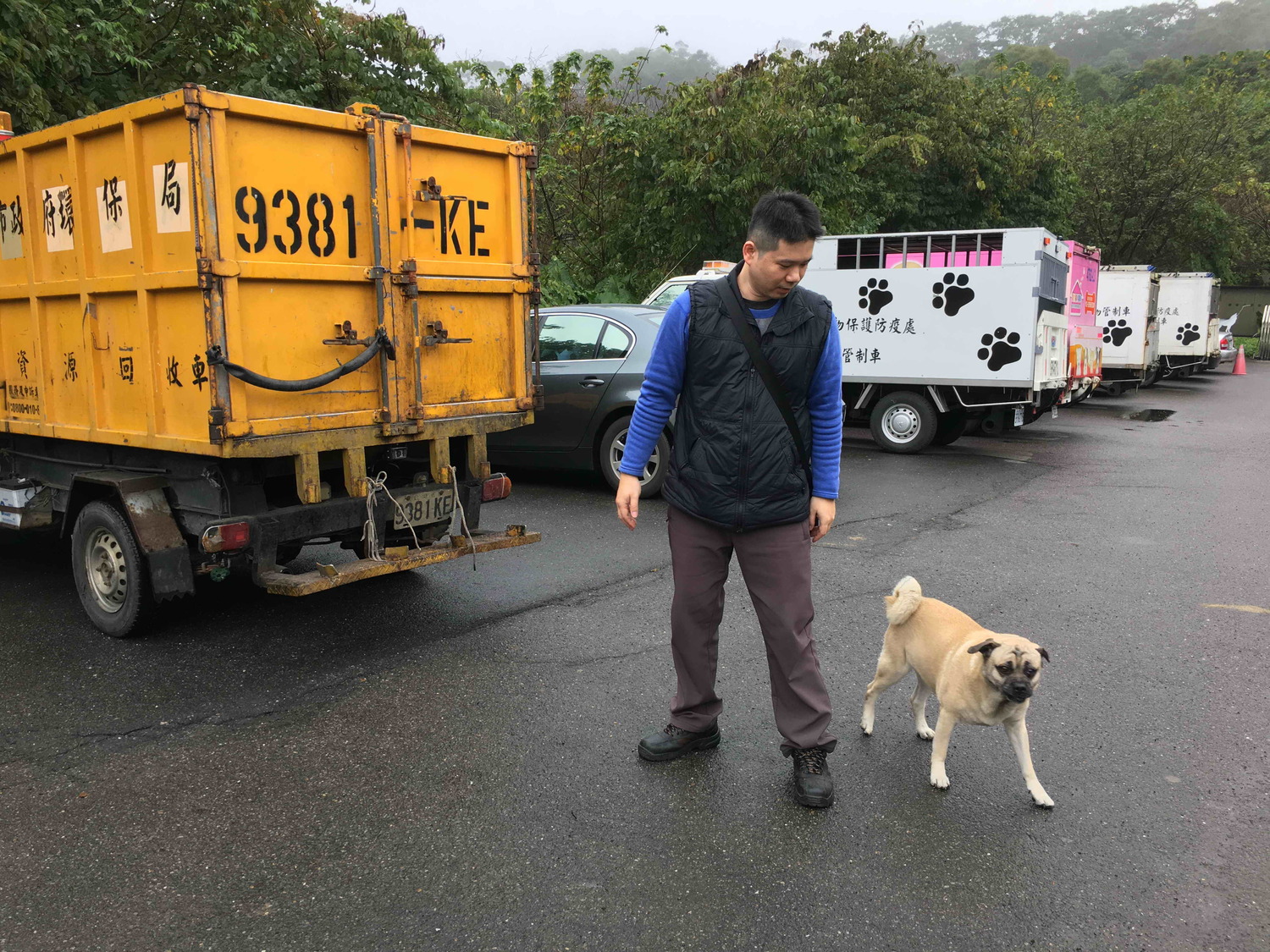 新北資深機關犬長櫻桃眼   動保處機警偕台大動物醫院妙手助復原