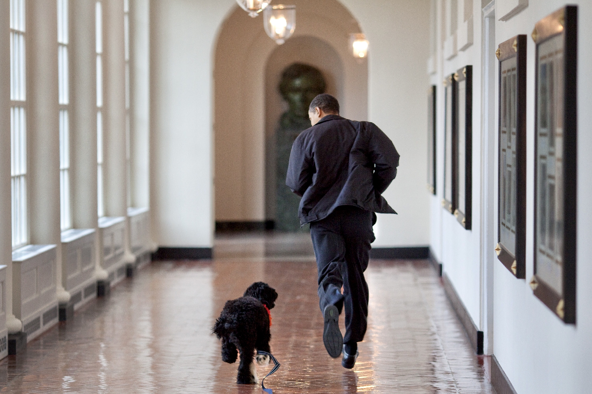 歐巴馬愛犬罹癌「離開人世」　悲痛回憶：最真實又忠誠的家人！