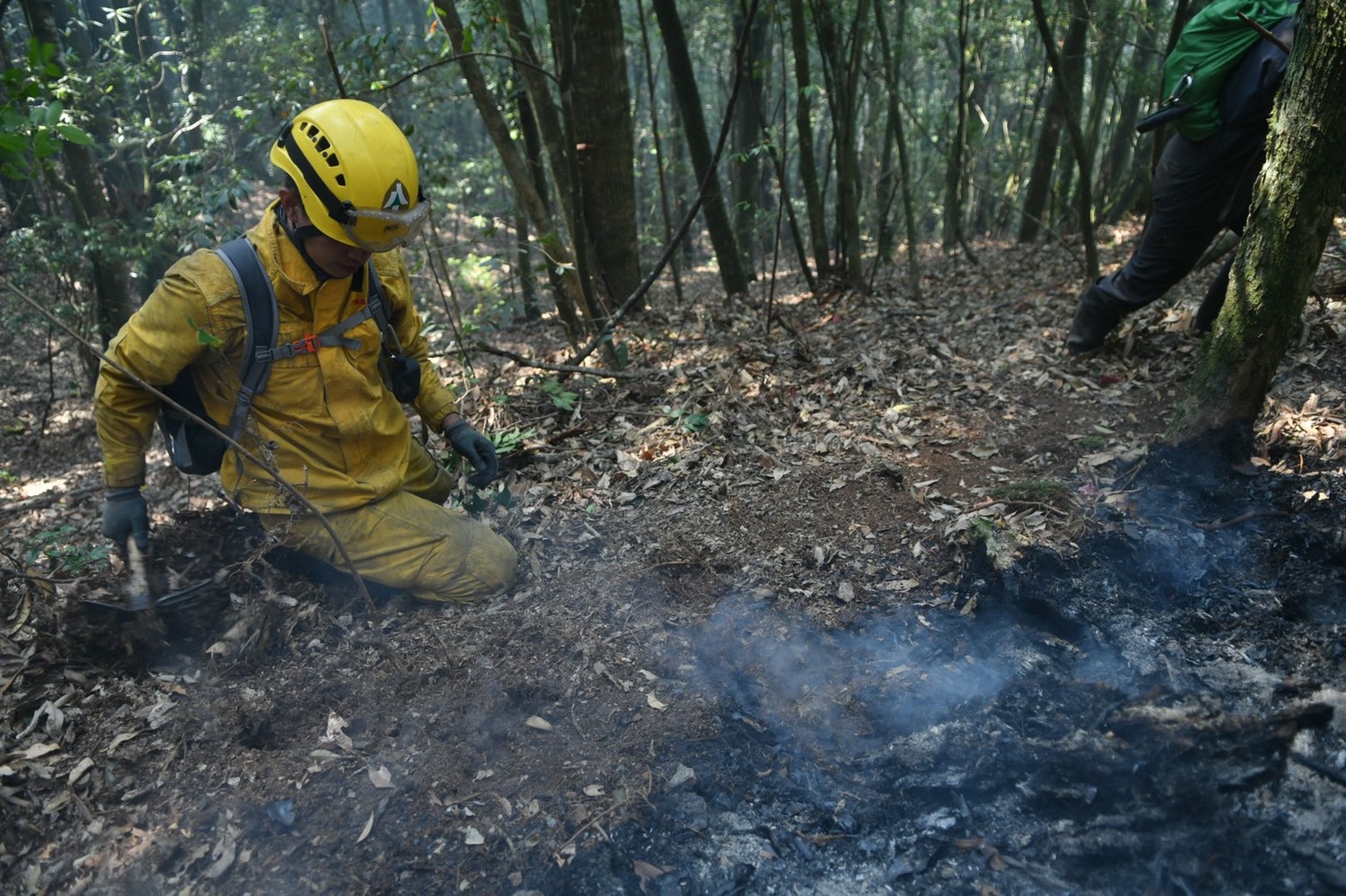 台中馬崙山大火延燒面積擴大4.1公頃  林管處籲勿上山
