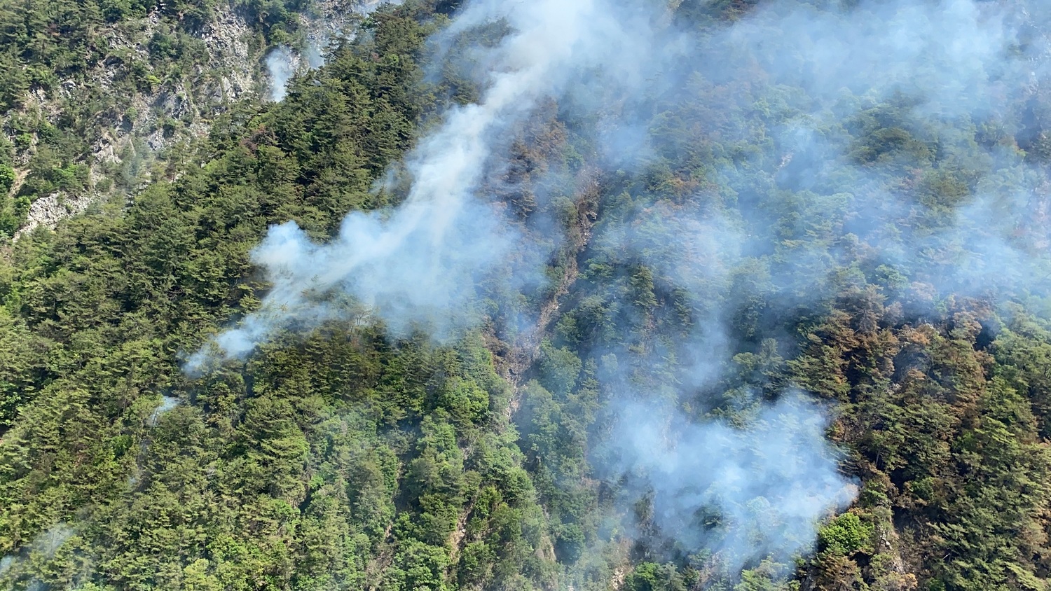 馬崙山森林火災延燒  疑又是登山客野炊未將餘燼熄滅