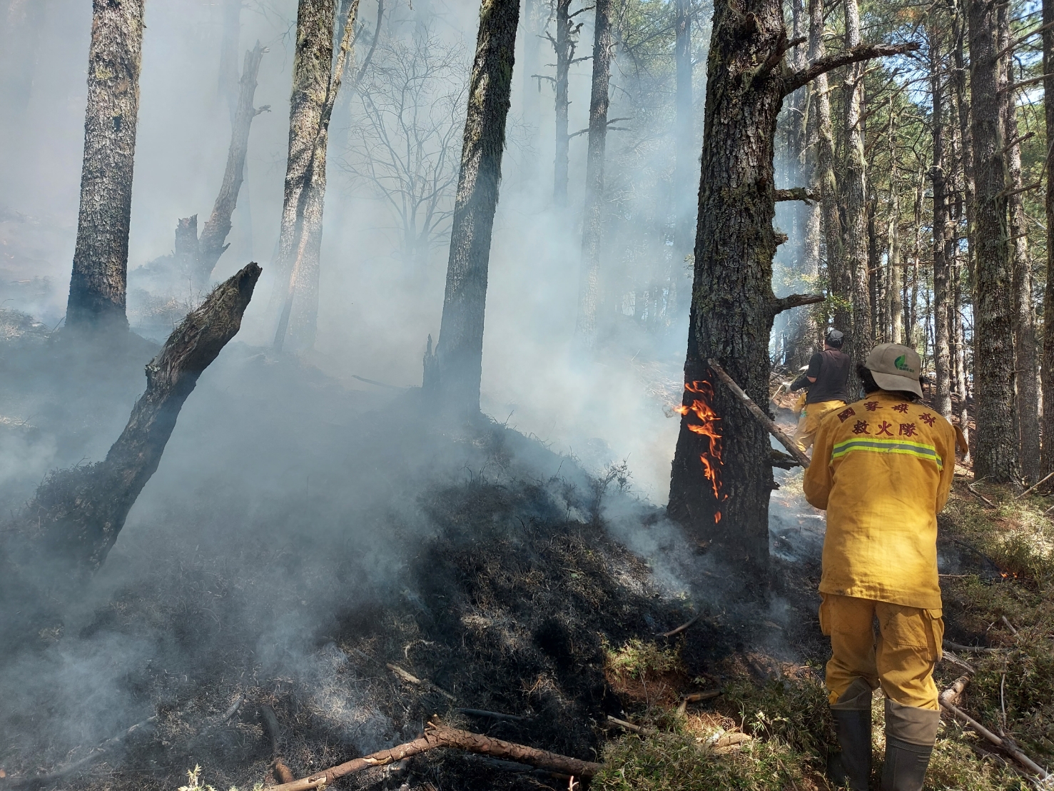 前NCC專門委員喬建中等5人引發玉山森林大火，林務局表示，將求償逾2.2億元。   圖：林務局／提供
