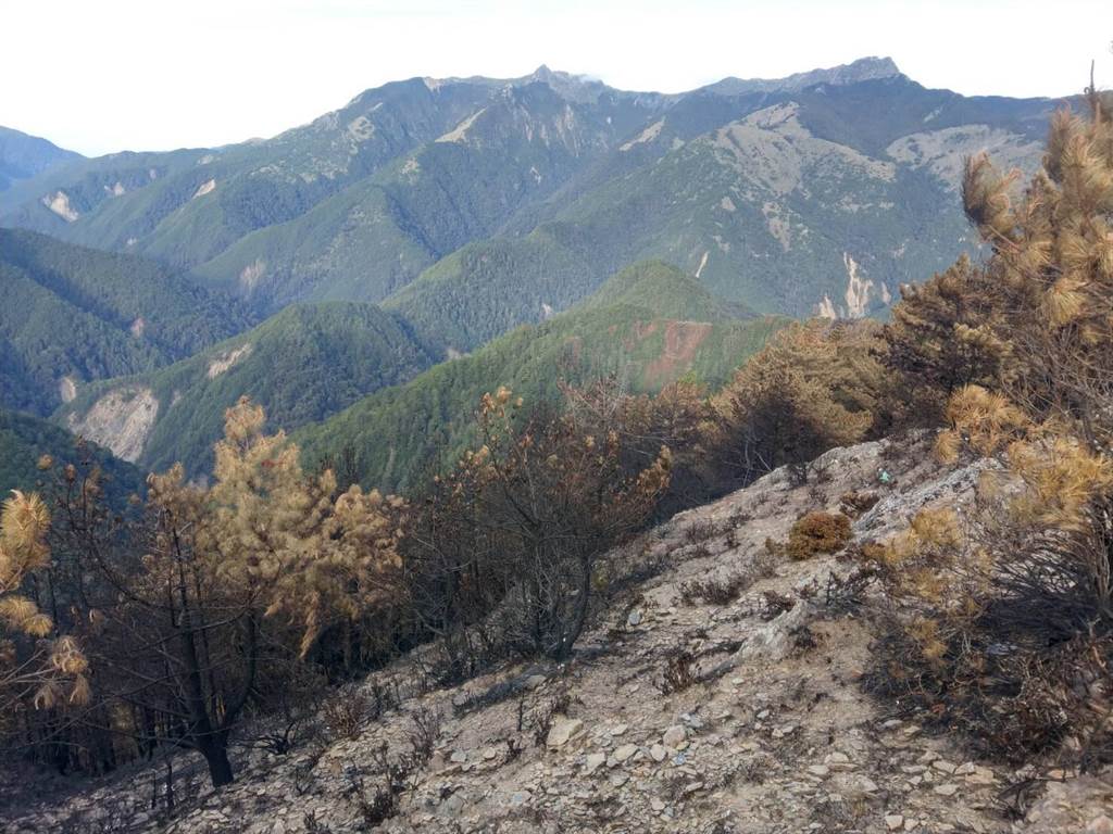 玉山火燒12天終於撲滅！肇事NCC專委5人恐遭求償上億 檢調防脫產