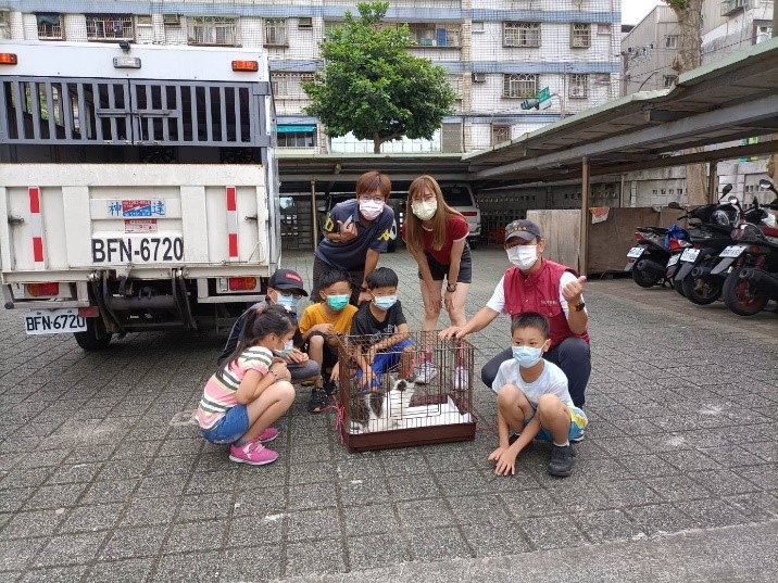 校貓鐵絲劃傷破相化膿 新北動保處助集氣學童治癒喵星人