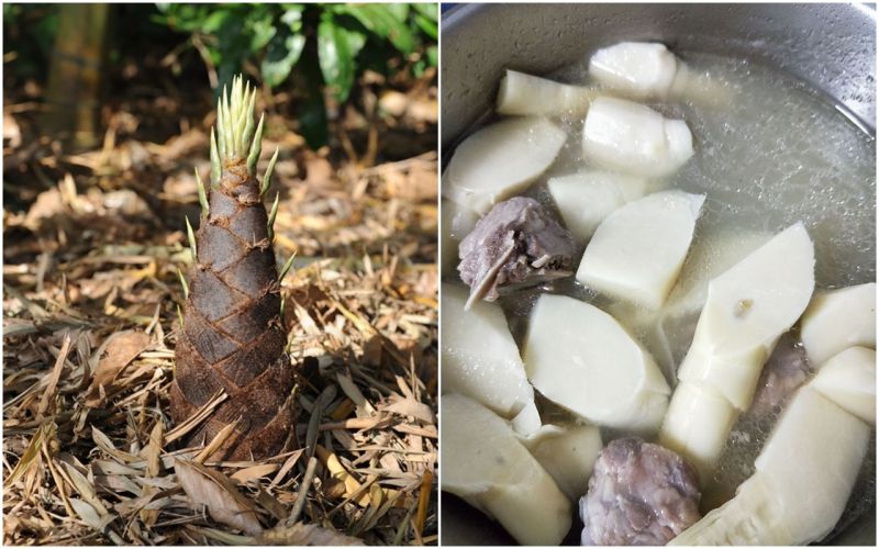 竹筍不要只會煮湯！婆媽曝「神級作法」：整鍋鮮甜吃光光