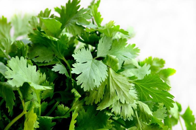 香菜加什麼吃最美味？網狂喊1料理