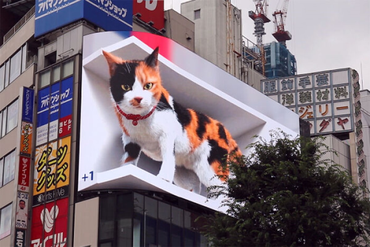 (影)東京出現「巨大三花貓」　與路人互動讓人想大喊卡哇伊！