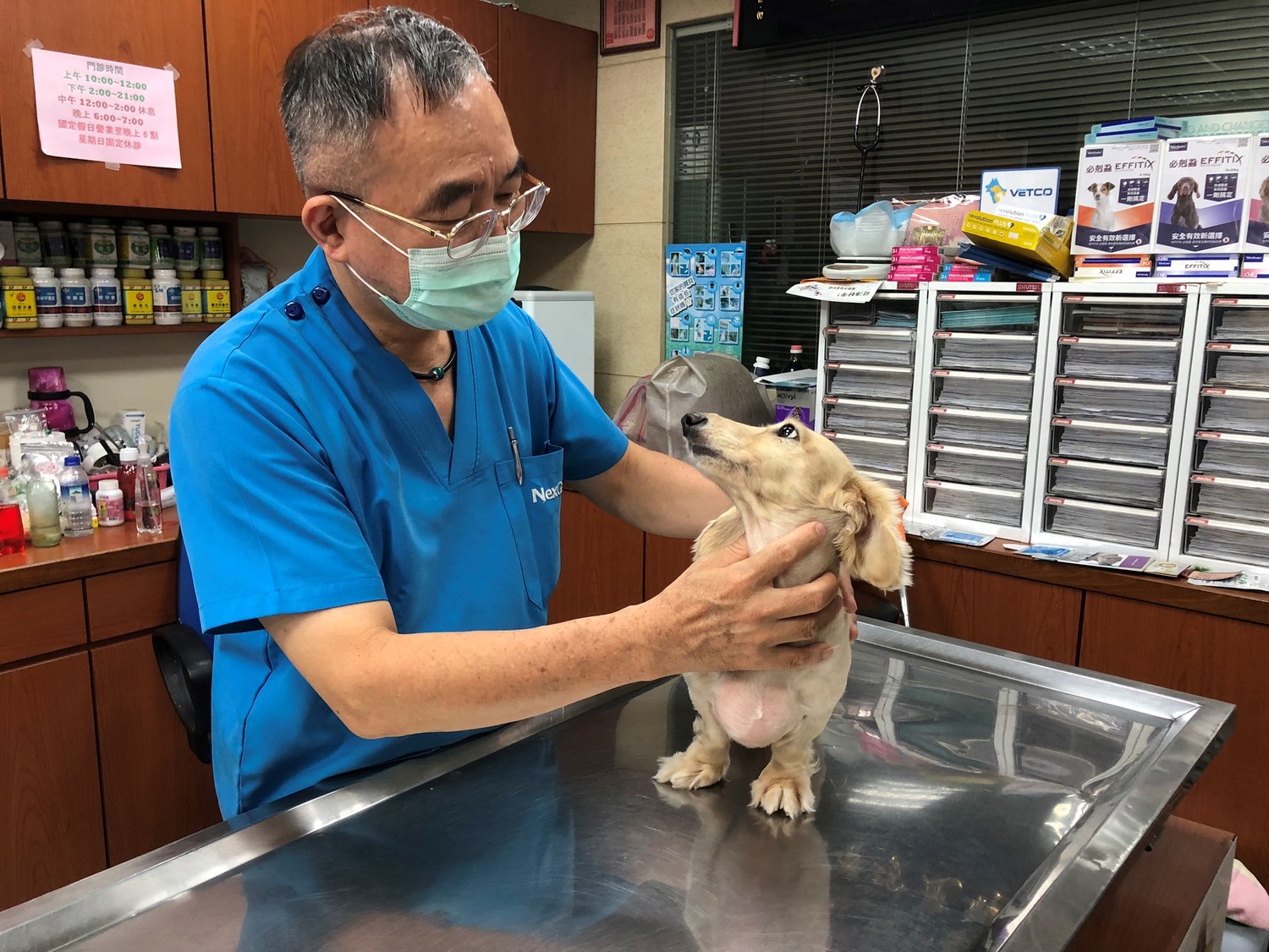 防疫兼照護毛寶貝  新北推動物醫院遠端視訊看診