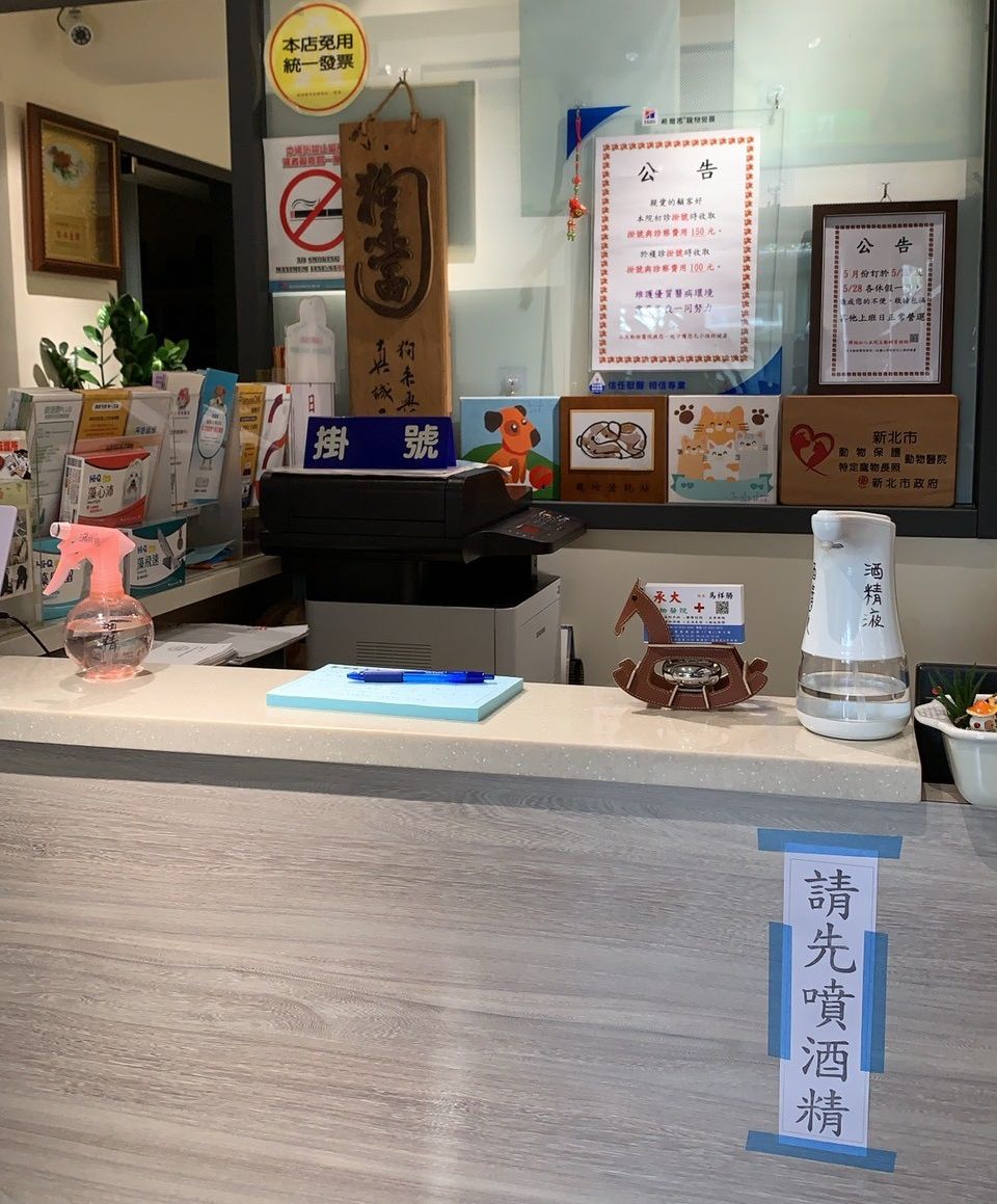 防疫兼照護毛寶貝  新北推動物醫院遠端視訊看診