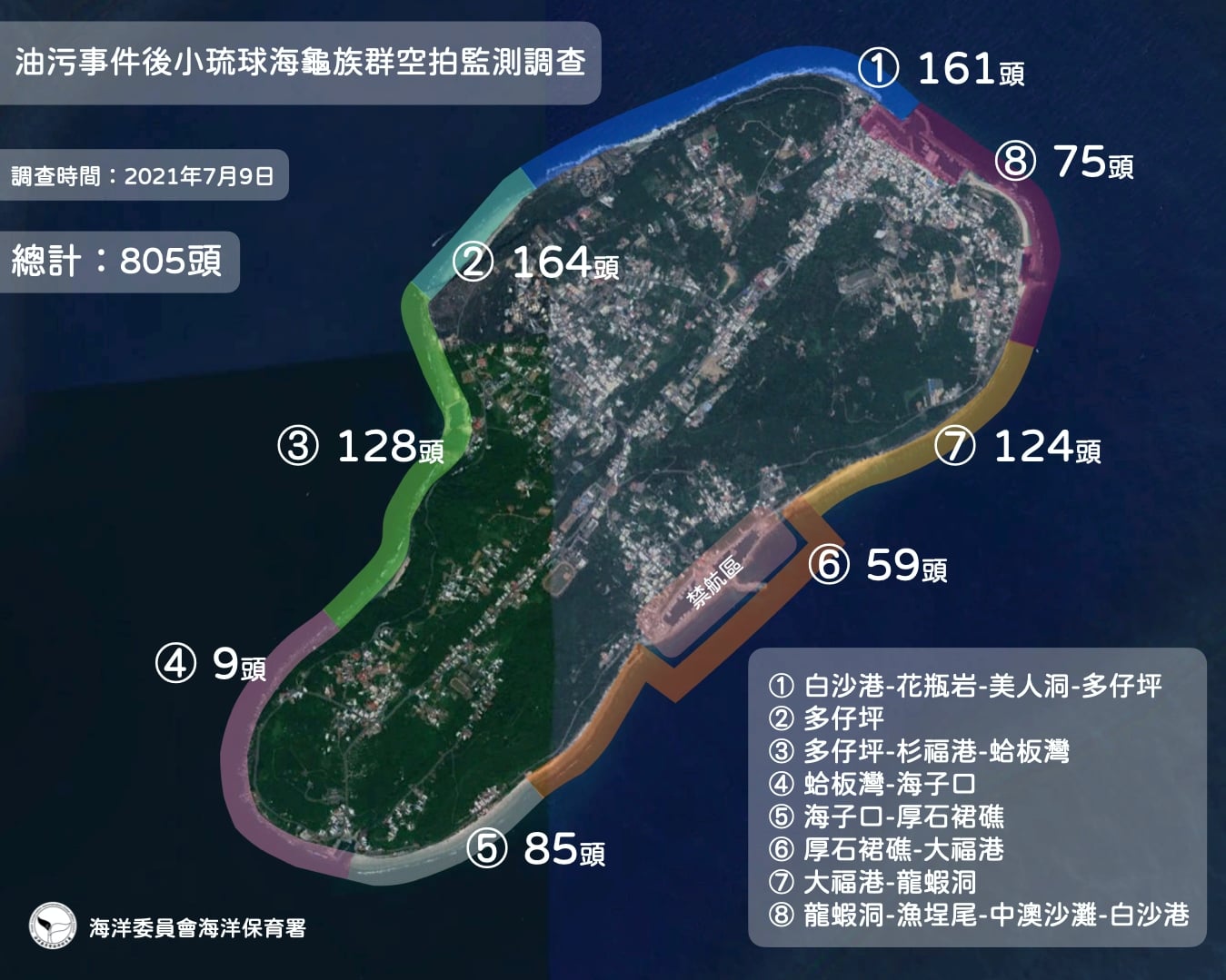 油汙事件後再度「龜」來！小琉球海龜數單日高達805隻
