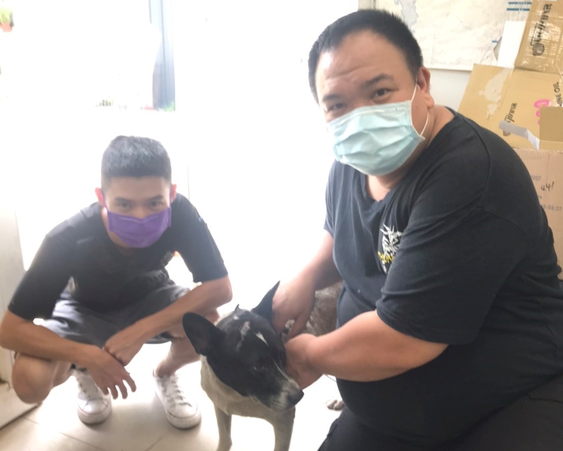 居家防疫不孤單 新北犬貓回春雙響炮認養35隻犬貓
