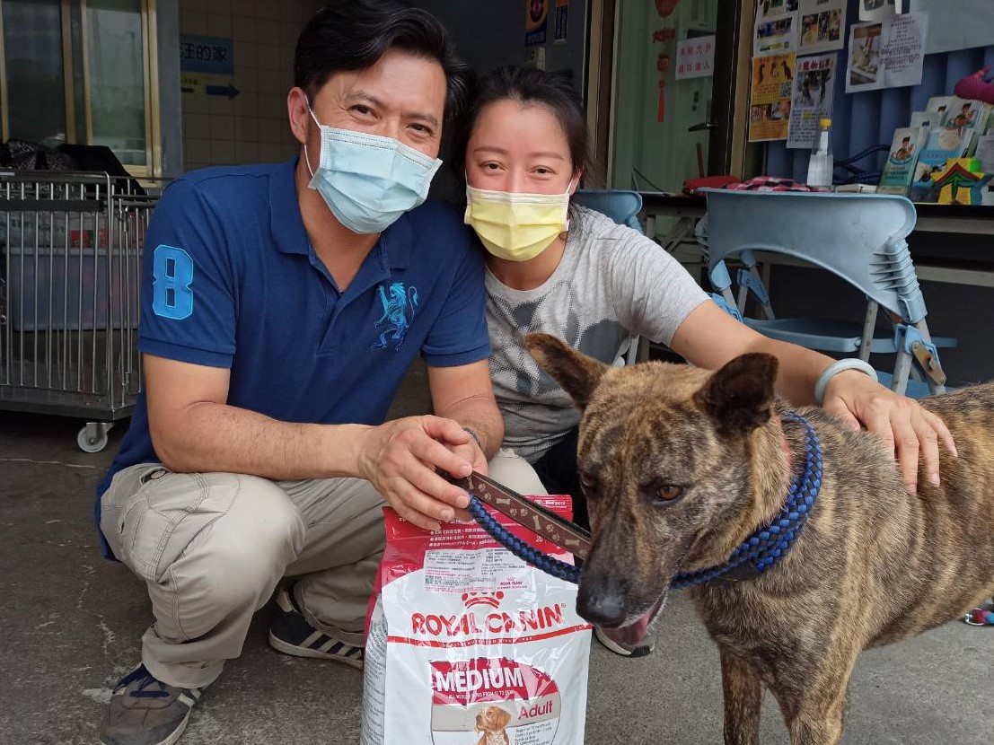 居家防疫不孤單 新北犬貓回春雙響炮認養35隻犬貓