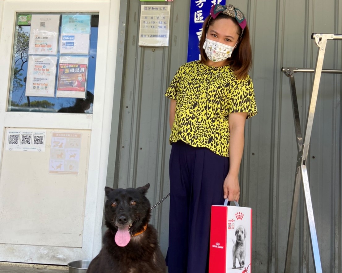 居家防疫不孤單 新北犬貓回春雙響炮認養35隻犬貓