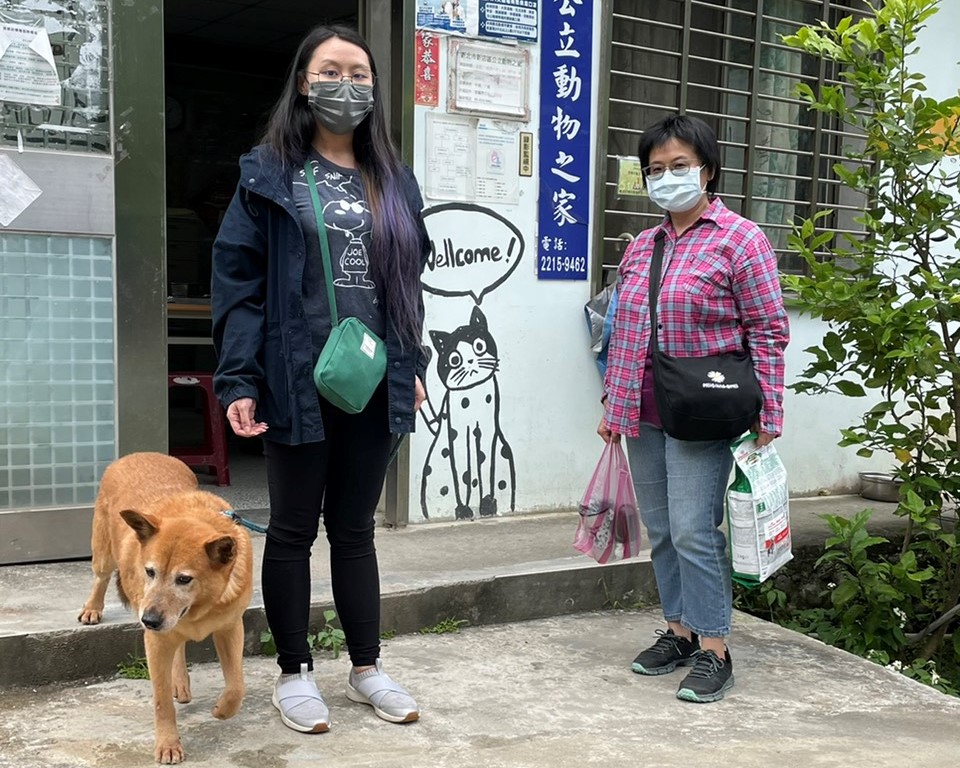 居家防疫不孤單 新北犬貓回春雙響炮認養35隻犬貓